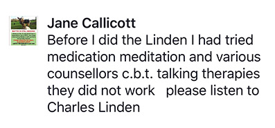 Linden Method review testimonial 22